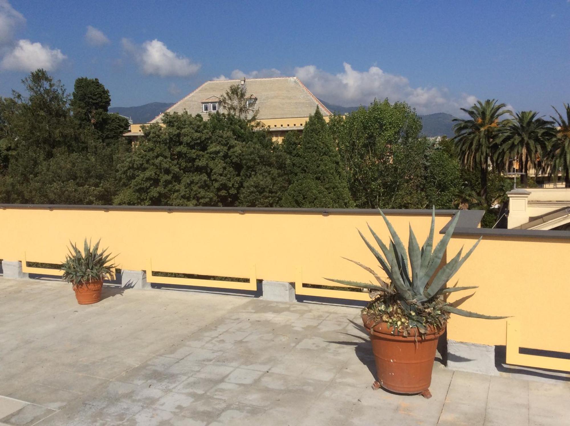 Garden With Terrace